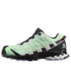 SALOMON XA PRO 3d V8 Gtx „Green Black“