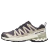 Salomon XA PRO 3D V9 GTX „Dark Grey Beige“