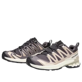 Salomon XA PRO 3D V9 GTX „Dark Grey Beige“