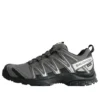 XA PRO 3D Gore-Tex „Pewter Silver Cloud“