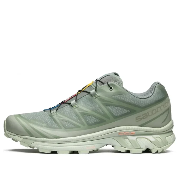 XT-6 Gore-Tex „Desert Sage Lily Pad“