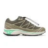 XT-6 Gore-Tex „Olive Night Dried Herb“