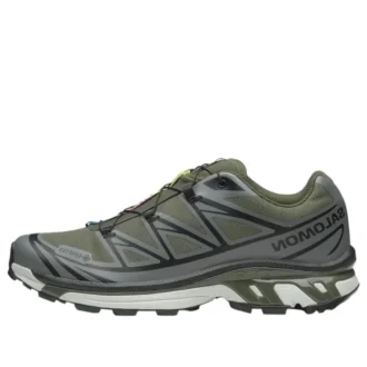 XT-6 Gore-Tex „Olive Night Sedona Sage“
