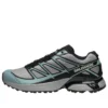 XT-PATHWAY „Ghost Grey Arona“
